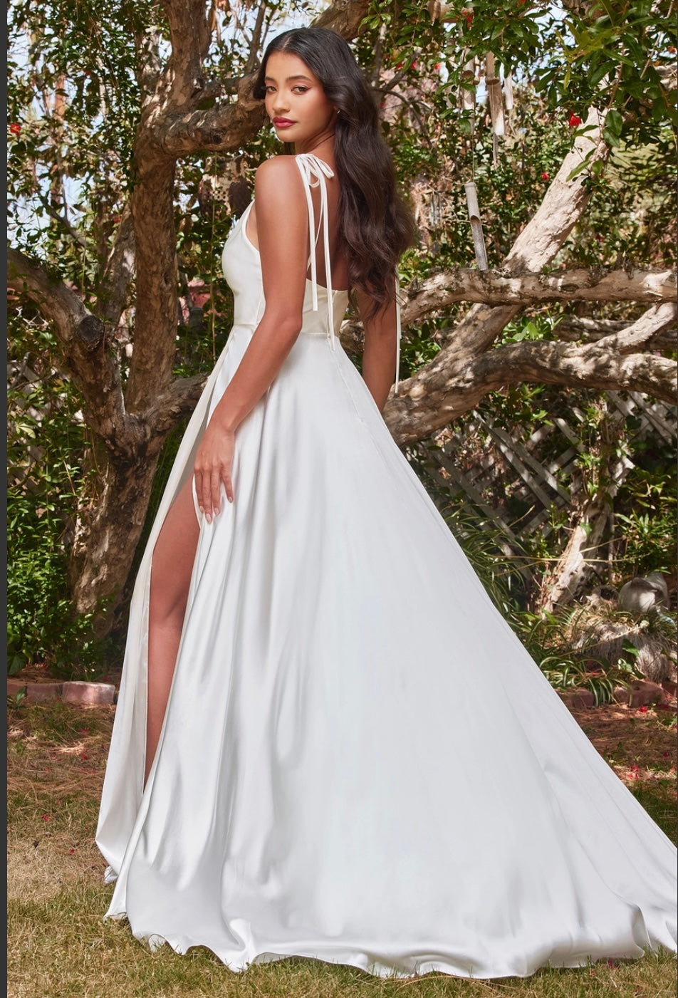 Cowl Neckline A-Line Satin Dress